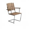 Teak